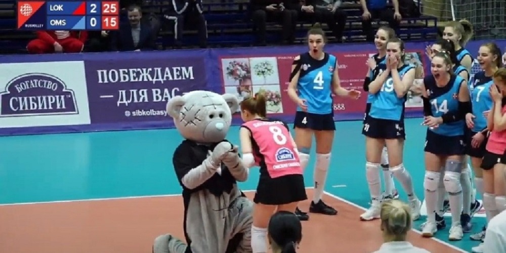 Омской волейболистке после матча сделал предложение медведь