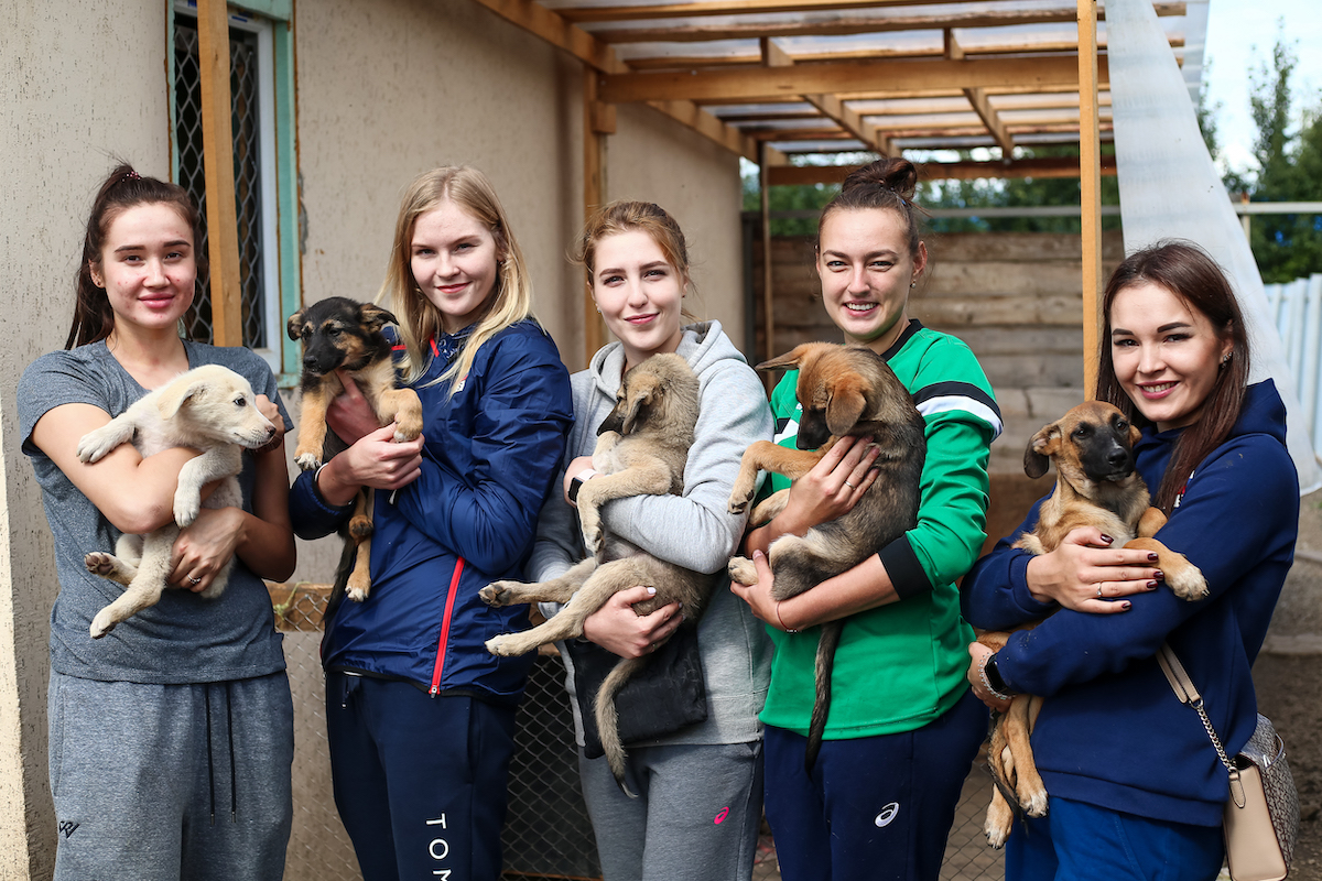 Волейболистки «Уралочки» побывали в приюте для бездомных собак